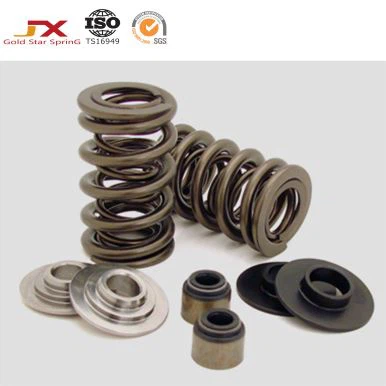 Дуал Валве Спрингс